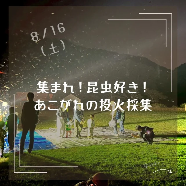 🌙✨
8/16開催　
”集まれ！昆虫好き！あこがれの投火採集！Part1”
〜** お申込みはこちらから**〜
https://ws.formzu.net/dist/S52425303/

🌿こんな体験ができるよ！
⭐️強い光(UV)に集まる昆虫の観察ができる！
⭐️普段なかなか見ることのできない蛾や昆虫の美しい模様を観察できる！
⭐️見たこともない昆虫と出会える！
⭐️昆虫博士の豆知識が聞ける！昆虫に詳しくなれるよ！
⭐️森の中に入らなくても、昆虫に出会えるよ！

🌿日時：2025年8月16日（土）
（集合時間）19時集合　
（点灯時間）19時半〜20時半
※宿泊とセットでご利用の方は、15時よりチェックイン可能です。

🌿場所：神戸三田アウトドアビレッジTEMIL芝生広場

🌿対象：幼児〜中学生家族　先着12家族（事前申込/先着での受付）

🌿料金：1組3,000円
📢和室宿泊（素泊り）とセットでのご参加大歓迎！
大人7,700円、子ども（小学生以上）5,500円（プログラム参加費込／食事持込）
昼間は、虫取りや川あそび...
夜は、家族でまったり過ごすのもあり！ボードゲーム等貸出有り！
ちーさん囲んでお話しもあり！

🌿持ち物：懐中電灯、タオル（首元の虫除け）、虫除けスプレー等（マダニ予防）、昆虫の持ち帰りを希望の方は容器をご持参ください。
※長袖長ズボン、靴を推奨します。白色の服は、昆虫がつくことが多いです。苦手な方は避けてください。

🌿申込〆切：8月14日（木）12:00
定員になり次第締め切ります。

🌿小雨の場合は、決行となります。
本降りの場合は、投火採集は中止となります。
その際は、ご登録いただいた連絡先にご連絡します。

🌿案内人【Bug Hunting Gangster】
「オヤジになった昆虫少年」こと、千島斉人さん（ちーさん）
https://www.facebook.com/akito.chishima
自らの経験をもとに、樹液やキノコの匂いをかぎ分けクワガタを探しあてる。
子どもが喜ぶ顔が何よりもダイスキ！
・NPO団体箕面クワガタ探検隊スタッフ
・カマキリ博士の昆虫教室クワガタ特別講師

🌿お申込みはこちらから
https://ws.formzu.net/dist/S52425303/ 
🌙✨