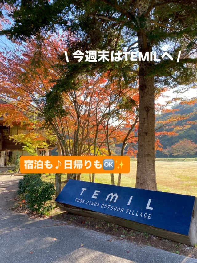 2025年もあと1ヶ月！

12月最初の今週末…12/6～7
和室とバンガローの空きが出ました👏🏻👏🏻
・
冷暖房完備の室内で快適に♪
持ち込み🆗の素泊まりなら
友達同士でもファミリーでも
気軽に楽しめます😊
・
冬支度を始めたTEMILの自然を感じながら
のんびりお散歩もオススメ🌲
・
日帰り利用できるBBQサイトもご予約可能！
プチ冬キャンプでリフレッシュ🍀しませんか？

📣週末空き状況（12/6-7）📣
☑素泊まりバンガロー泊（冷暖房設備）
☑︎素泊まり和室泊（冷暖房完備）
☑︎ファミリー専用ガーデンテントサイト🚗🏕️
☑BBQサイト（日帰り利用）

こちらより空き状況とご予約が可能です！
https://www.nap-camp.com/hyogo/12920

#週末キャンプ #bbq #デイキャンプ